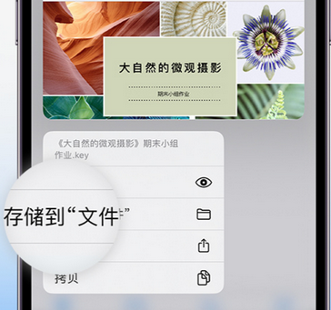 周村apple维修中心分享iPhone文件应用中存储和找到下载文件