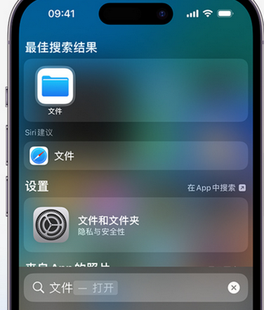 周村apple维修中心分享iPhone文件应用中存储和找到下载文件 