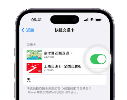 周村apple维修点分享iPhone上更换Apple Pay快捷交通卡手绘卡面 