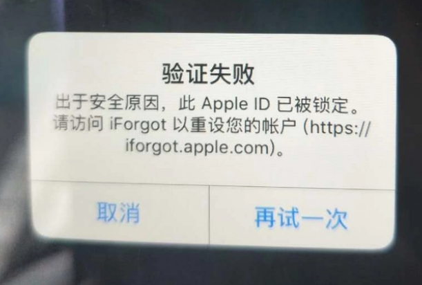 周村iPhone维修分享iPhone上正常登录或使用AppleID怎么办 