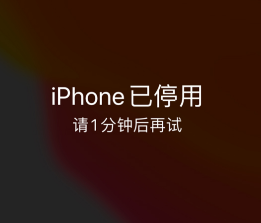周村苹果手机维修分享:iPhone 显示“不可用”或“已停用”怎么办？还能保留数据吗？ 