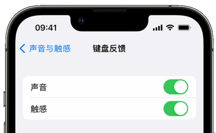 周村苹果手机维修分享iPhone 14触感键盘使用方法 