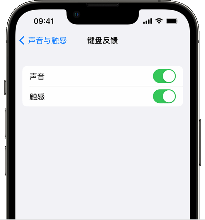 周村苹果14维修店分享如何在 iPhone 14 机型中使用触感键盘 