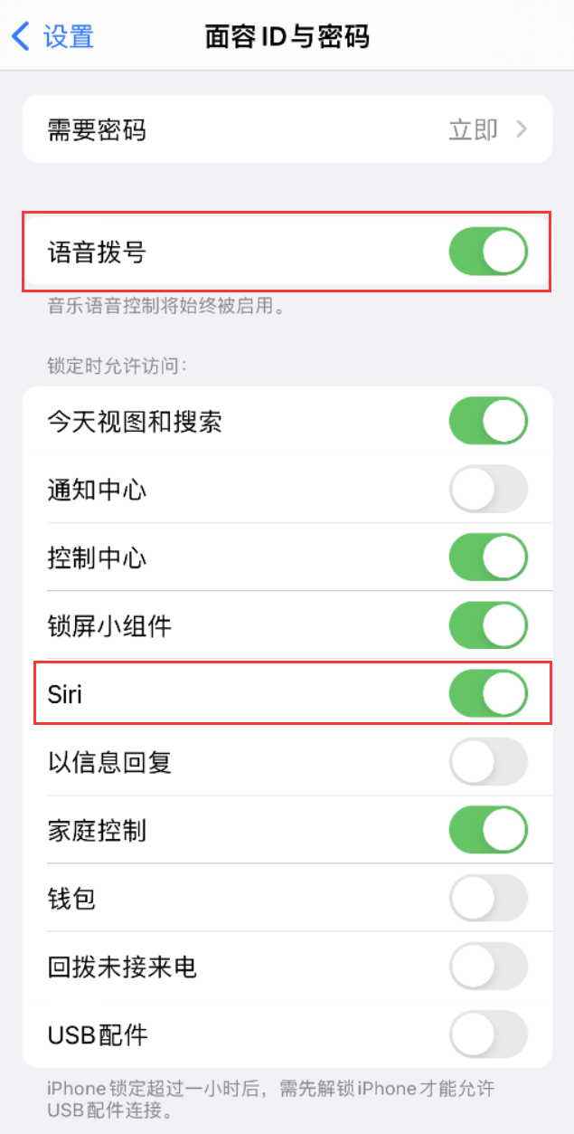 周村苹果维修网点分享不解锁 iPhone 的情况下通过 Siri 拨打电话的方法 