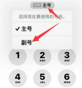 周村苹果14维修店分享iPhone 14 Pro Max使用副卡打电话的方法 