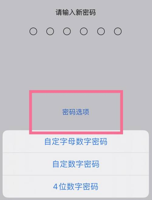 周村苹果14维修分享iPhone 14plus设置密码的方法 