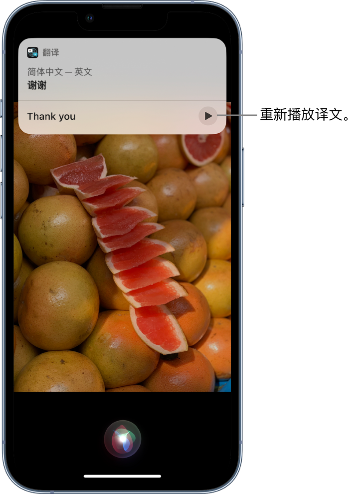 周村苹果14维修分享 iPhone 14 机型中使用 Siri：了解 Siri 能帮你做什么 