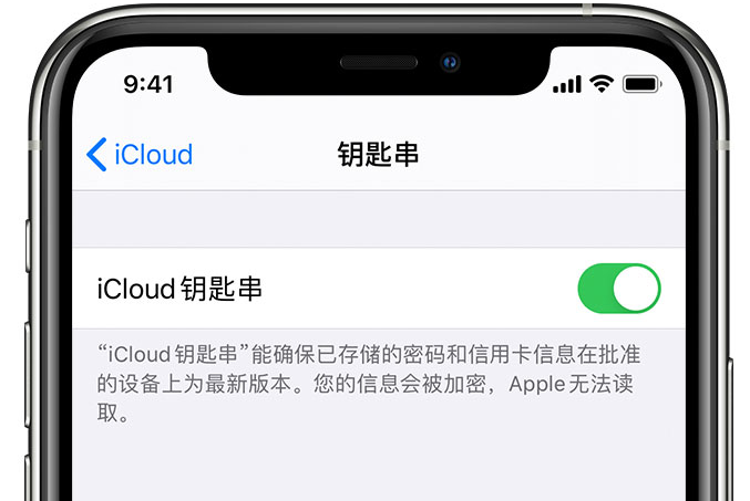 周村苹果手机维修分享在 iPhone 上开启 iCloud 钥匙串之后会储存哪些信息 