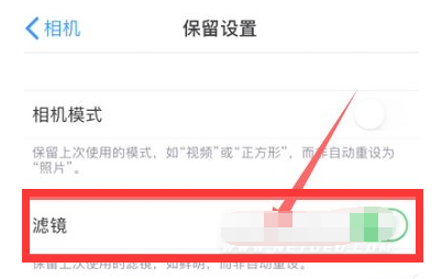周村苹果13维修分享iPhone13拍照有绿点是怎么回事 