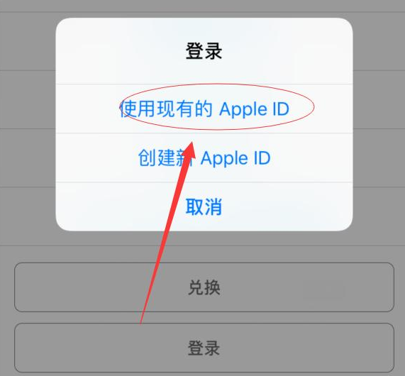 周村苹果手机维修分享两台iPhone设备可以同时登录一个Apple ID吗 